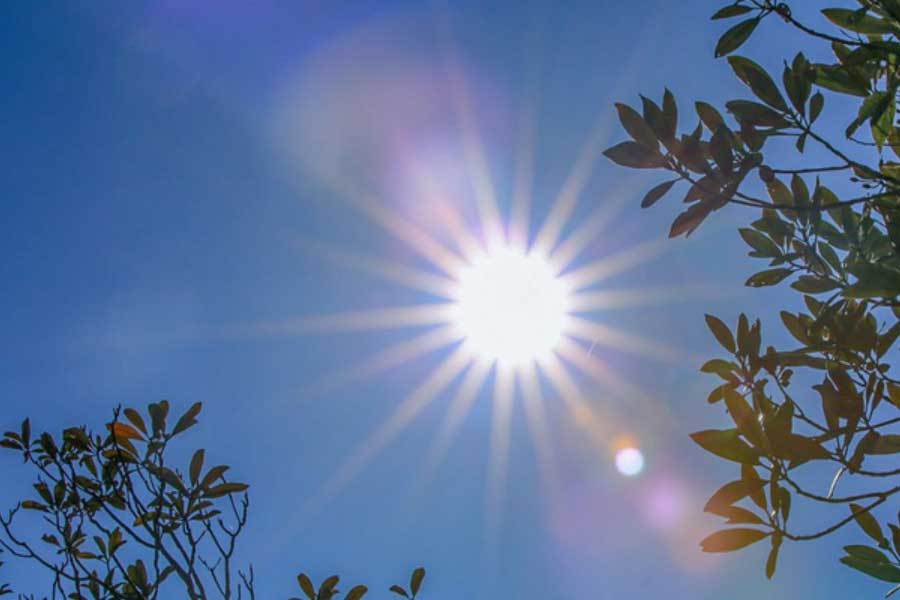 剧本创作提升效率开元棋牌AI辅助(图1)